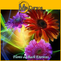 Curso Online de Flores de Bach Etericas Nivel 1, 2, 3 y Maestría